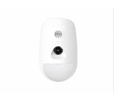 PIRCam AX PRO (DS-PDPC12P-EG2-WE)