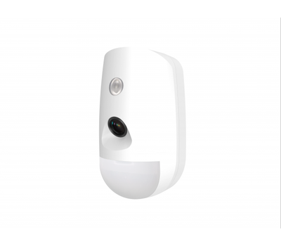 PIRCam AX PRO (DS-PDPC12P-EG2-WE)