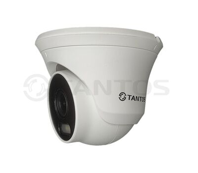 TSi-Beco55FP Tantos IP видеокамера уличная, фото  TSi-Beco55FP Tantos IP видеокамера уличная, фото [no] | domofonn.ru
