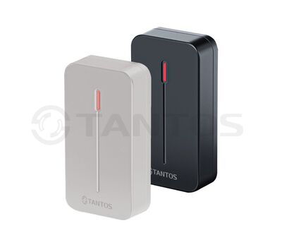 TS-RDR-E mini Tantos Считыватель карт, фото  TS-RDR-E mini Tantos Считыватель карт, фото [no] | domofonn.ru